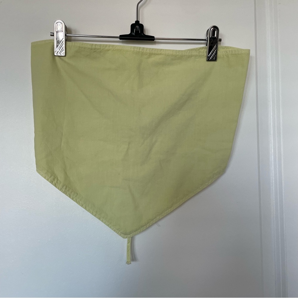 Zara Light Green Crop Top